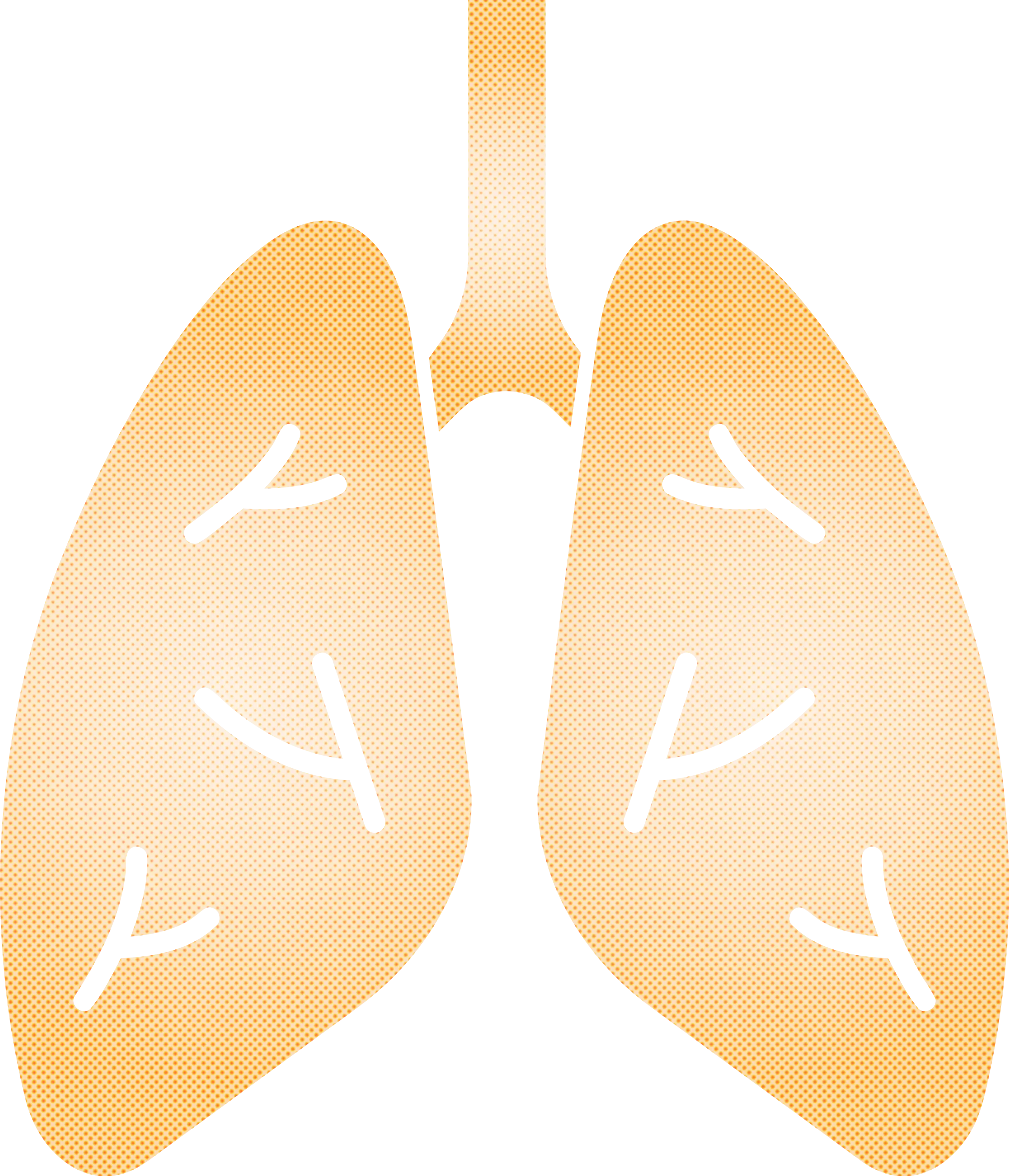 Gold Illustration of Human Lungs Anatomy
