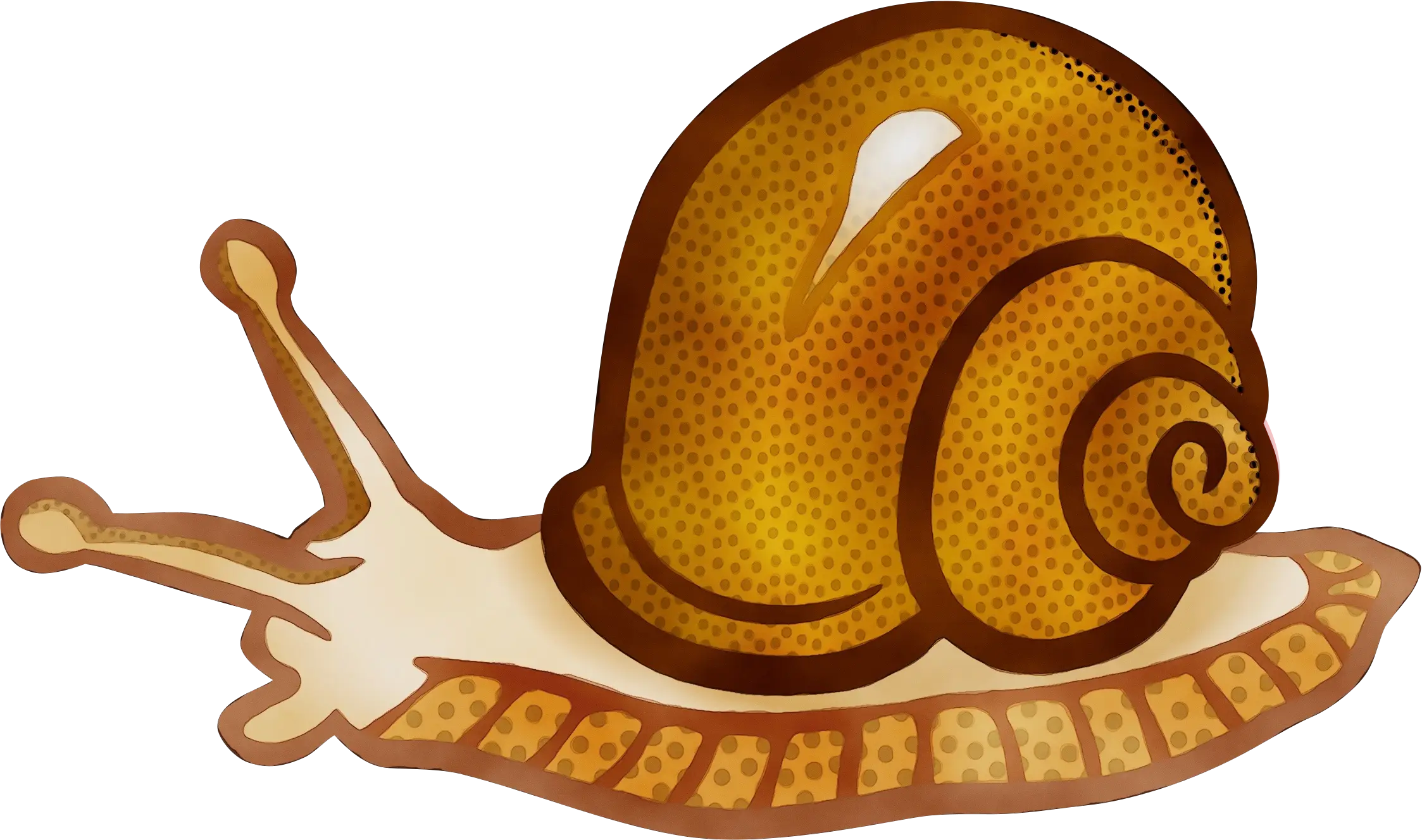 Cartoon Snail with Brown Shell