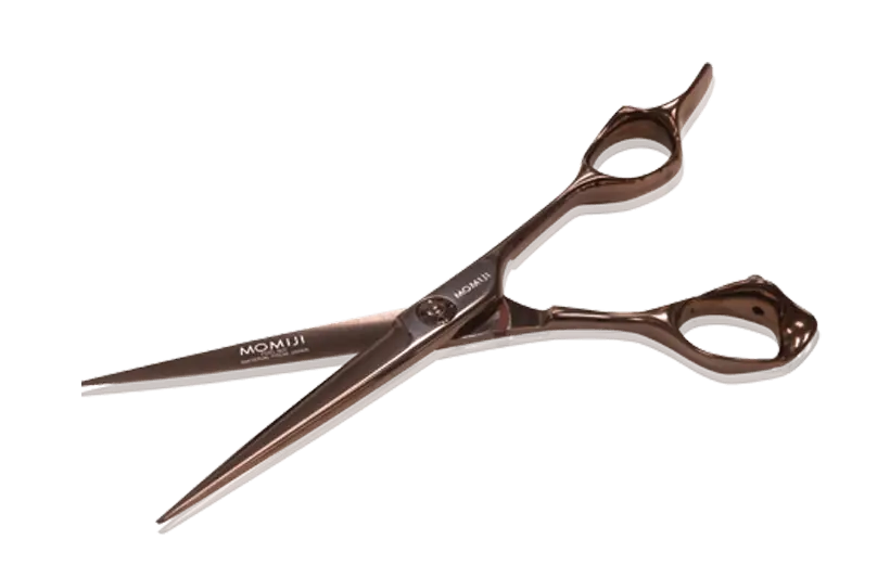 Sleek Silver Hairdressing Scissors