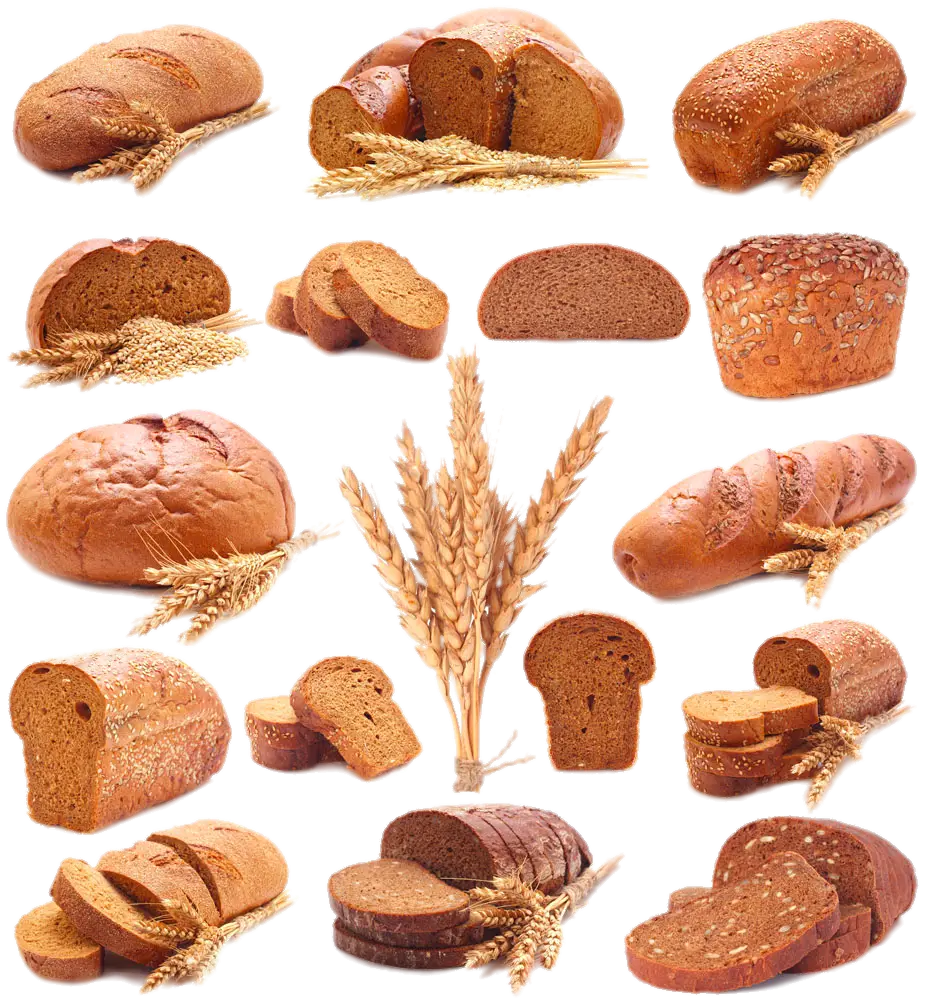 Variety of Fresh Bread Loaves