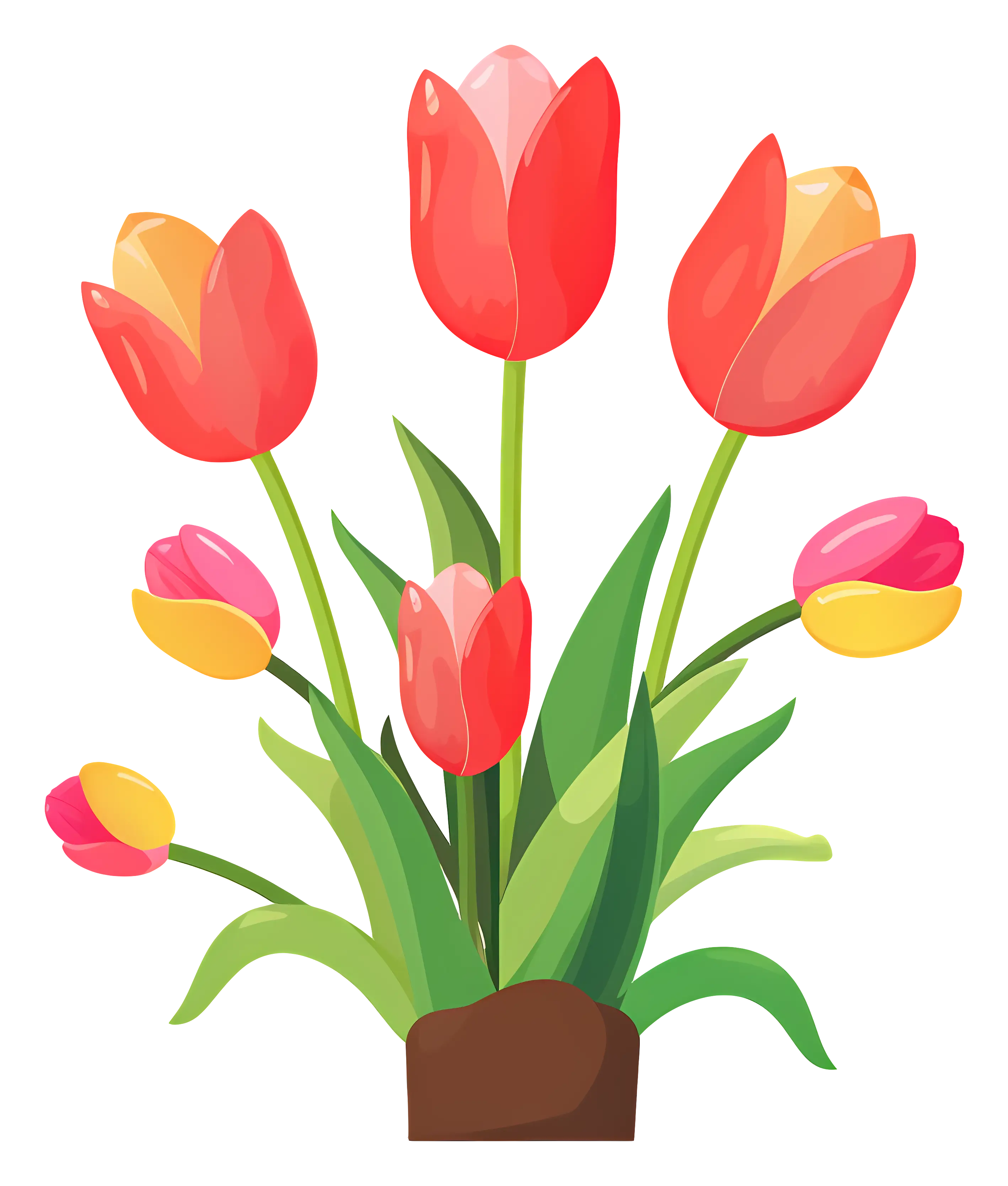 Vivid Tulip Flowers Illustration for Decor