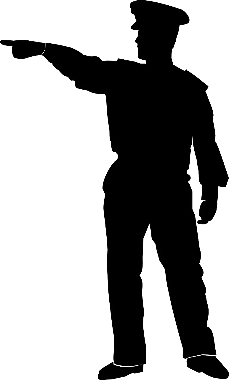 Silhouette of Person Giving Direction