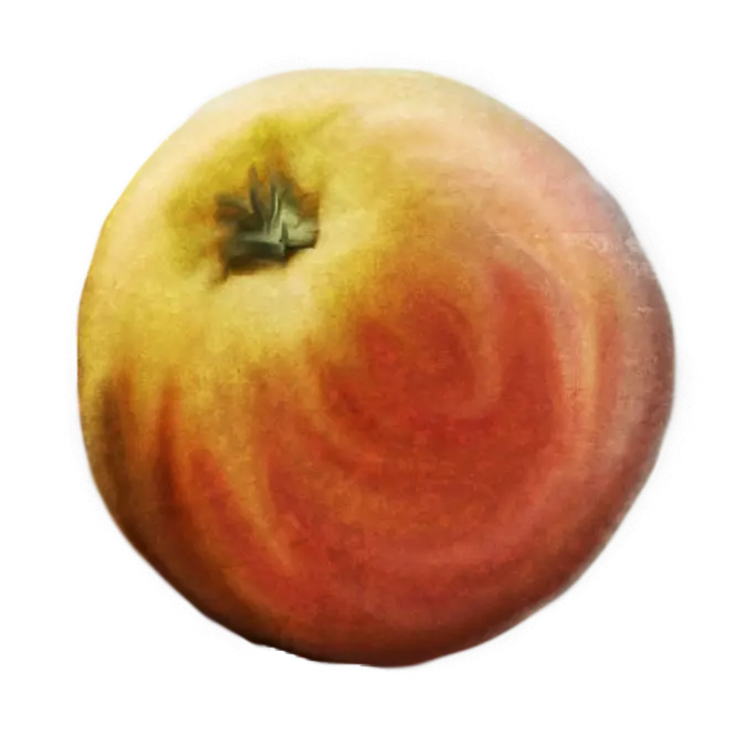 Realistic Apple Fruit Illustration