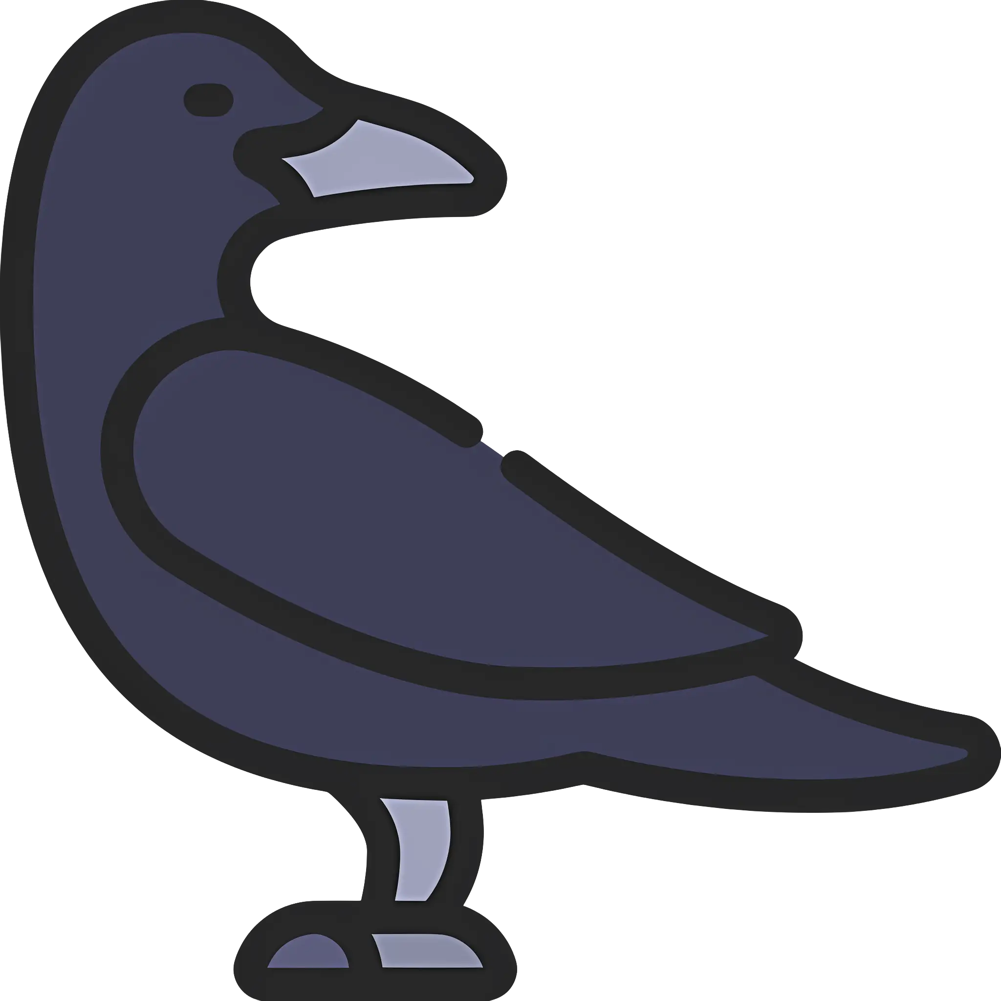 Black Bird Illustration