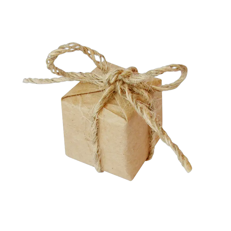 Gift Box Decorated with Twine Bow