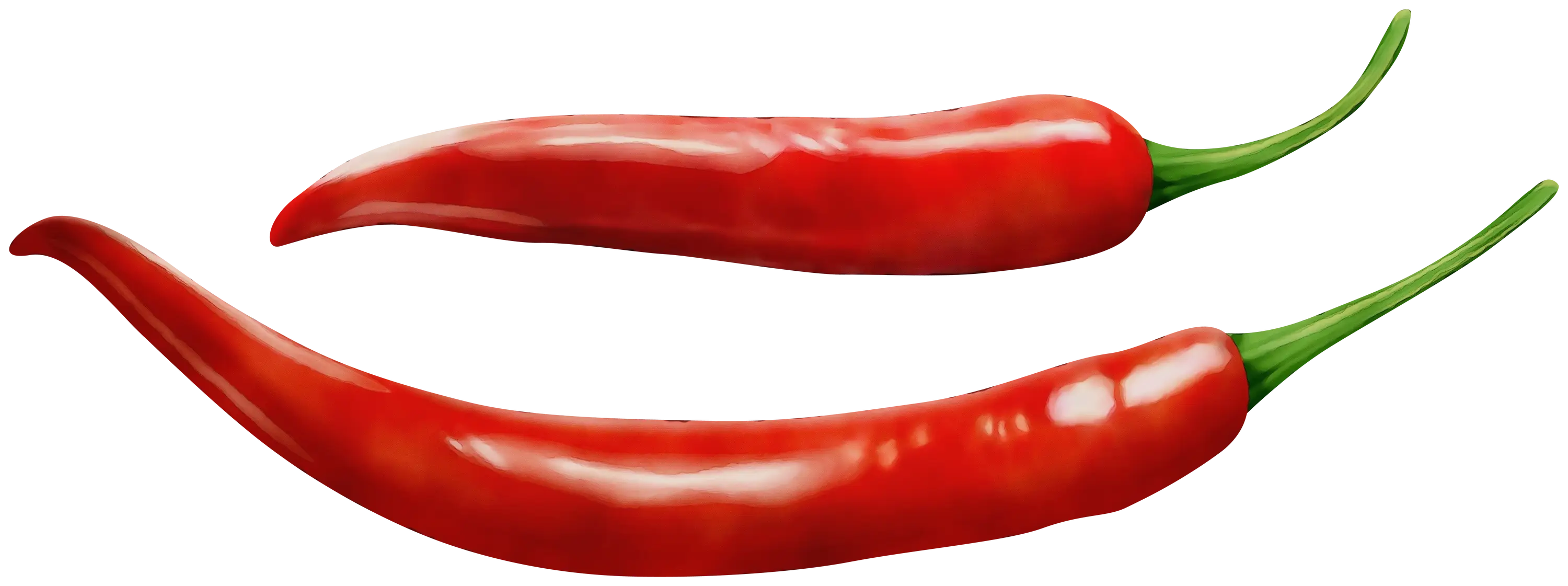 Pair of Red Chili Peppers
