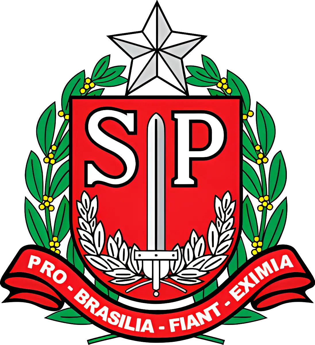 SÃ£o Paulo State Emblem with Sword and Star