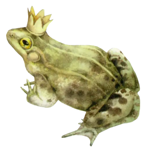 Royal Frog Wearing a Crown