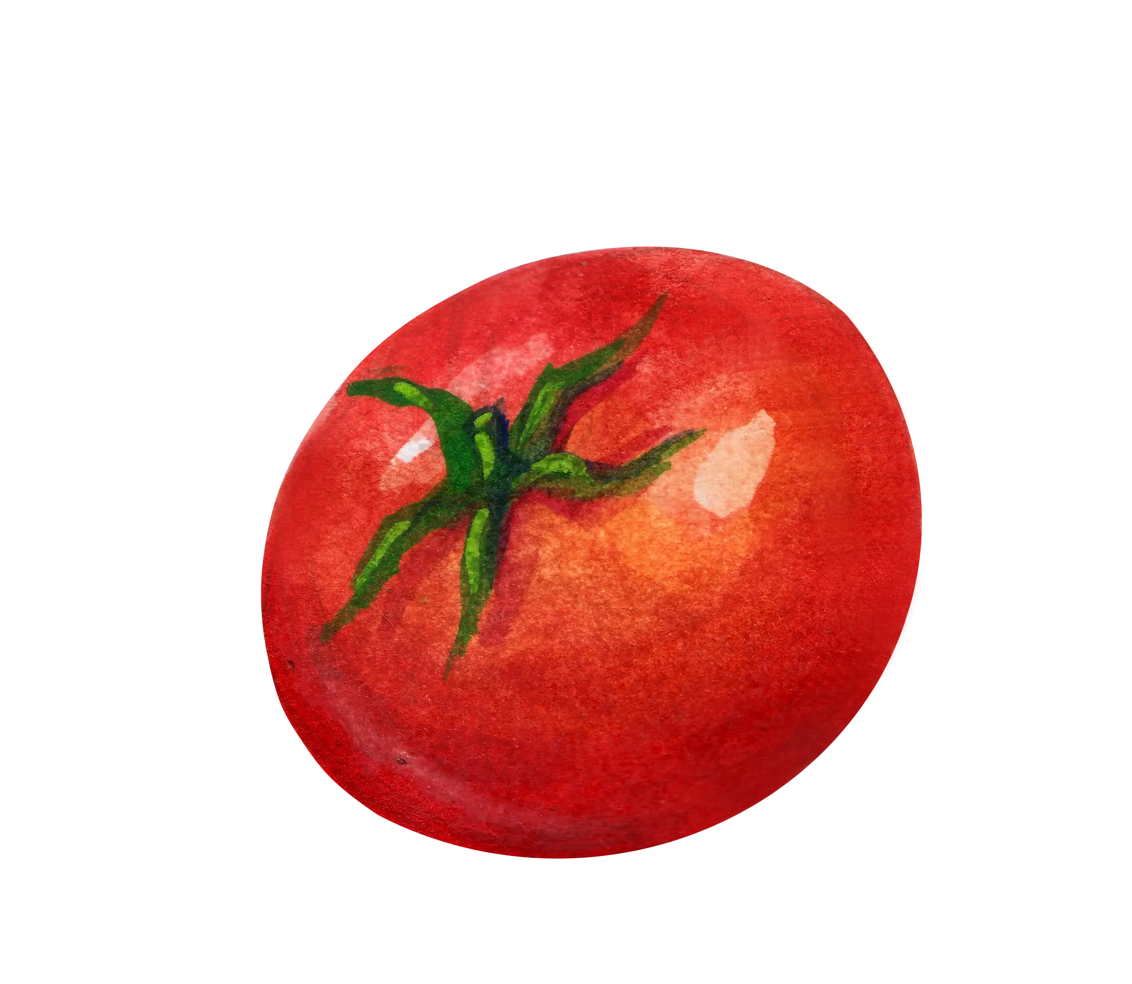 Watercolor Illustration of a Tomato
