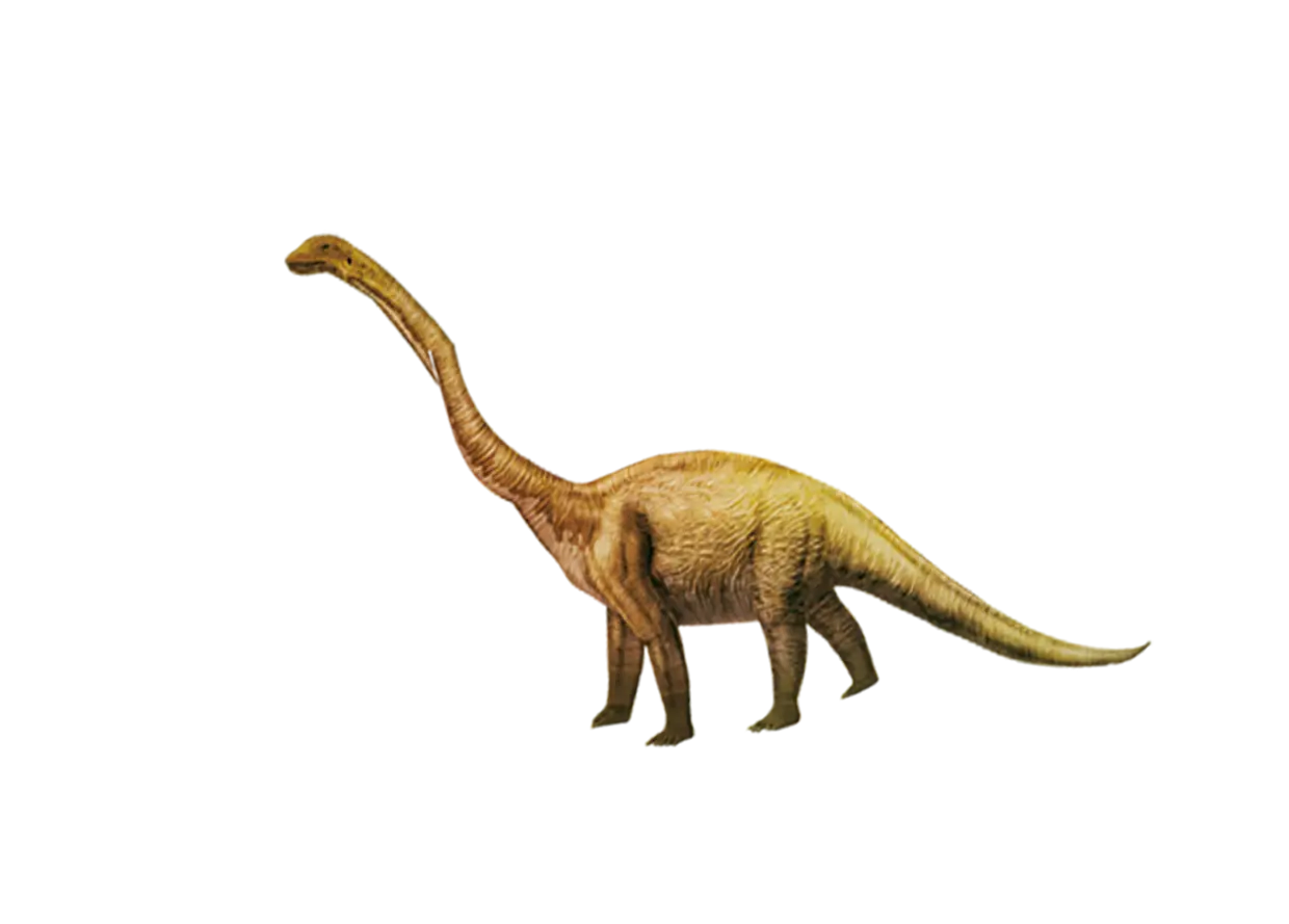 Illustration of a Long-Necked Dinosaur Sauropod