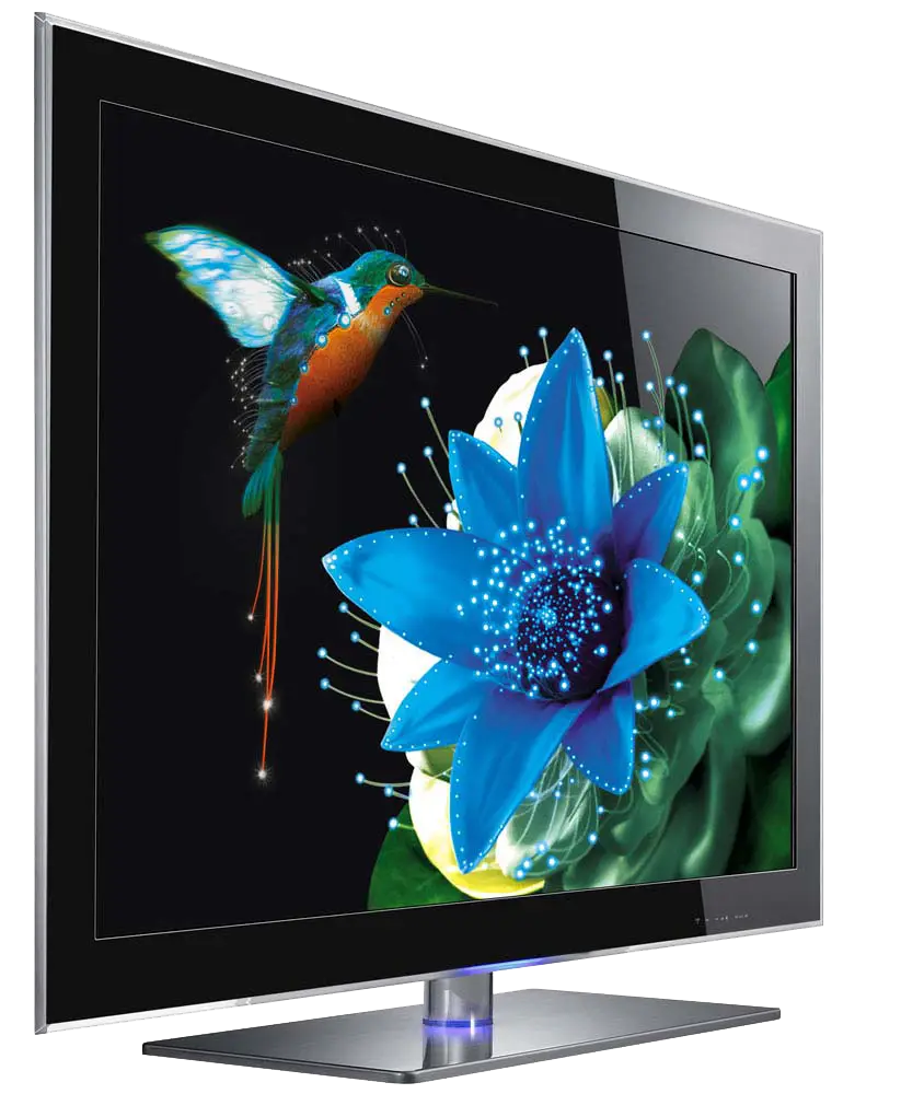 Modern TV with Hummingbird and Flower Display
