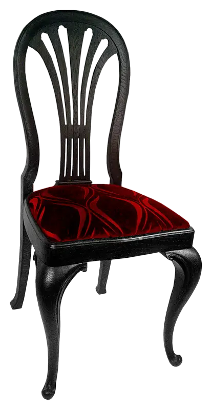 Elegant Black Chair with Red Cushion