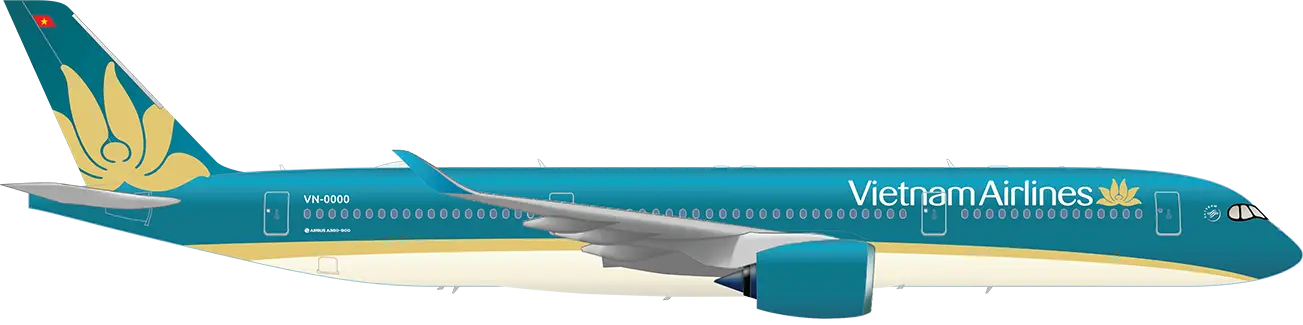 Vietnam Airlines Airplane for Travel