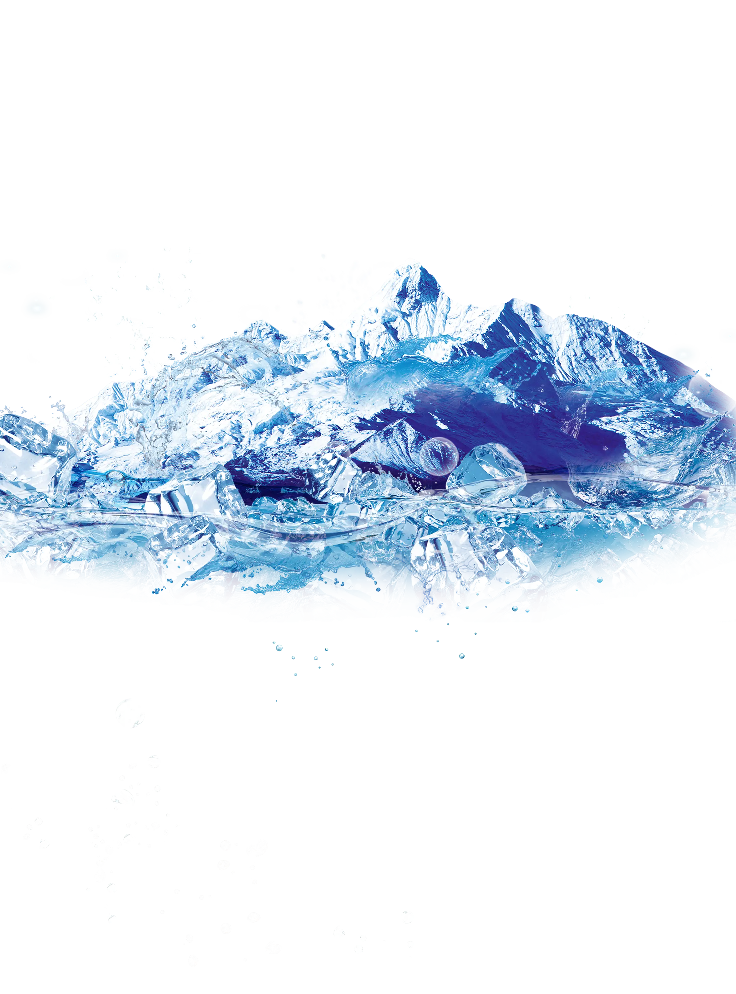 Fish Frozen in Ice