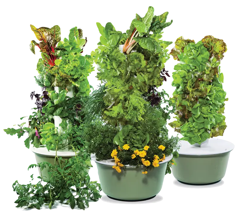 Vertical Garden with Various Plants