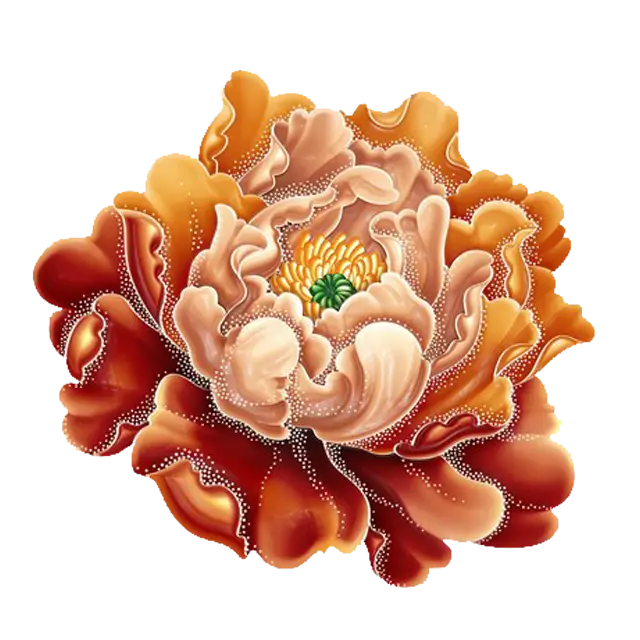 Beautiful Orange Flower