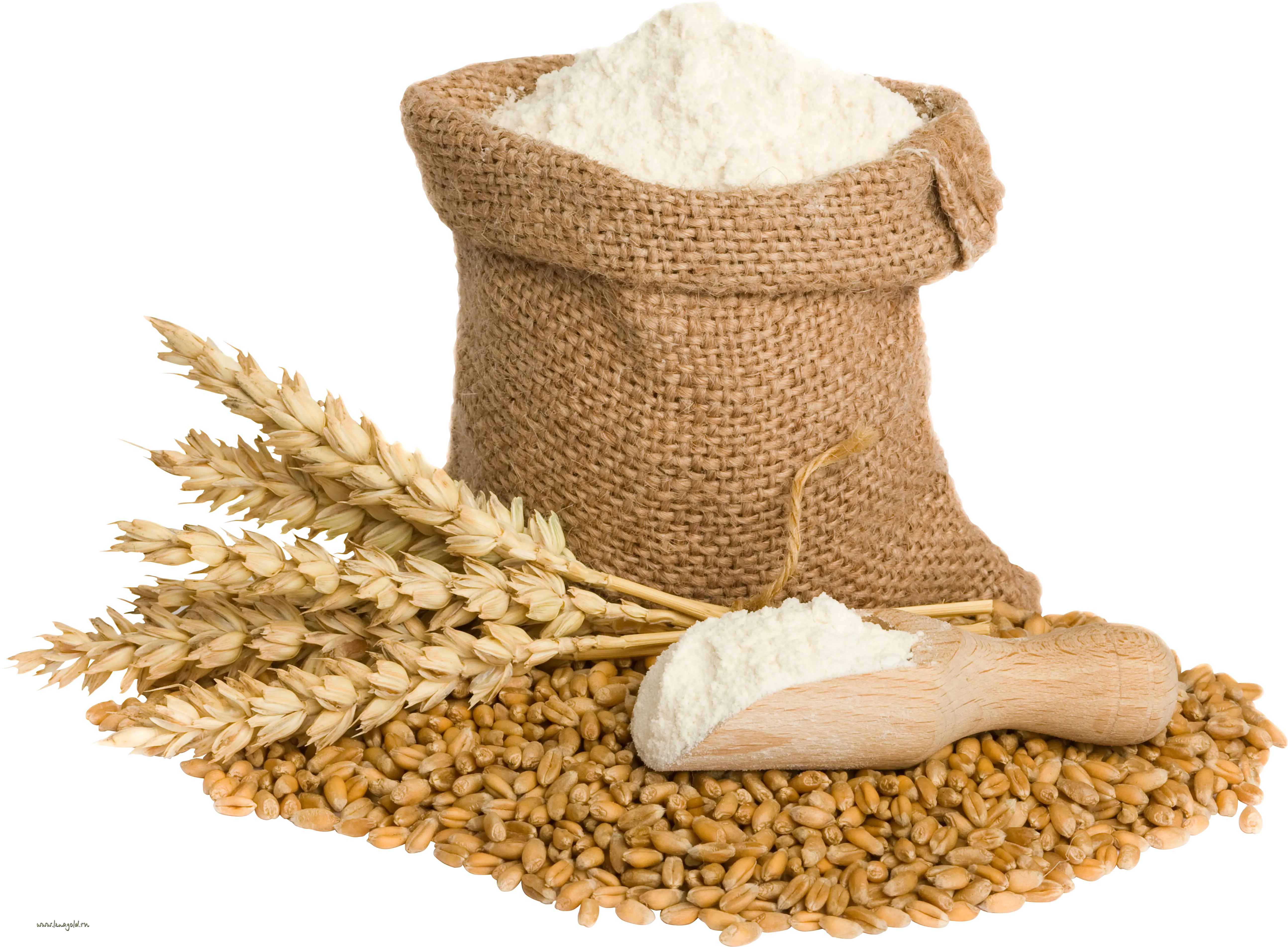 Flour and Wheat Ingredients