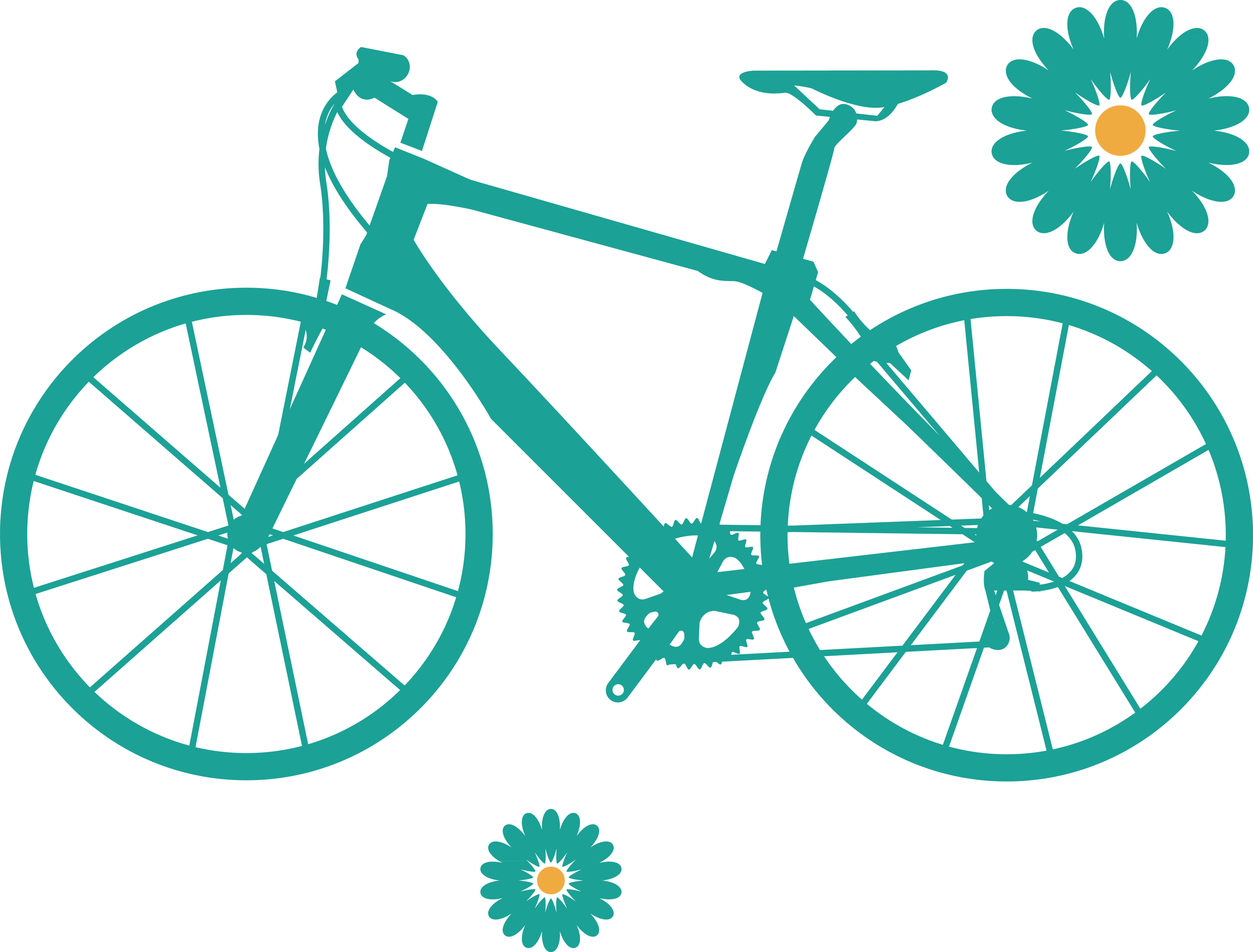 Teal Bicycle with Daisies Illustration