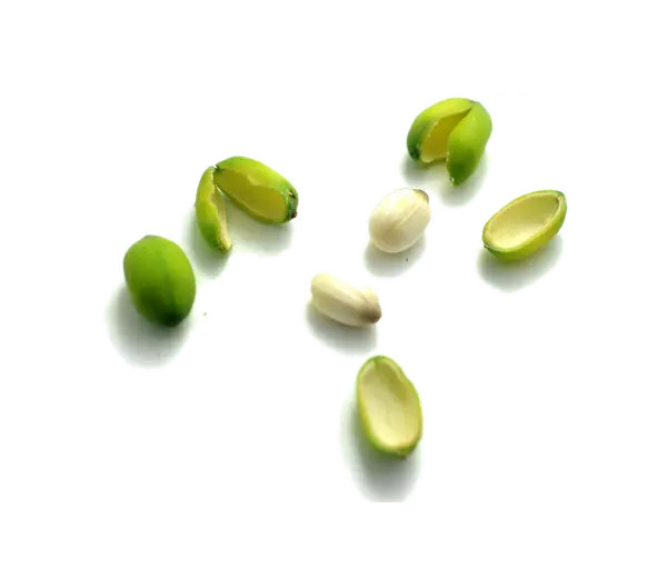 Fresh Green Beans and Seeds