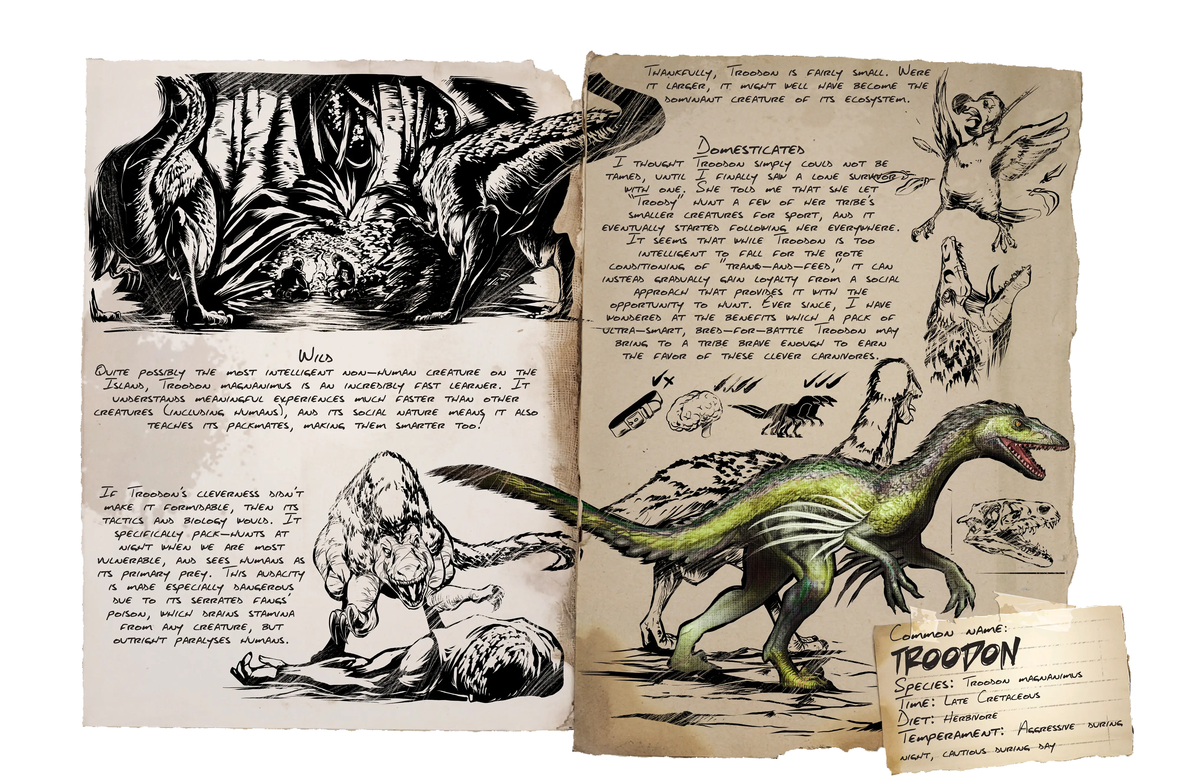 Dinosaur Illustrations and Notes on Paper