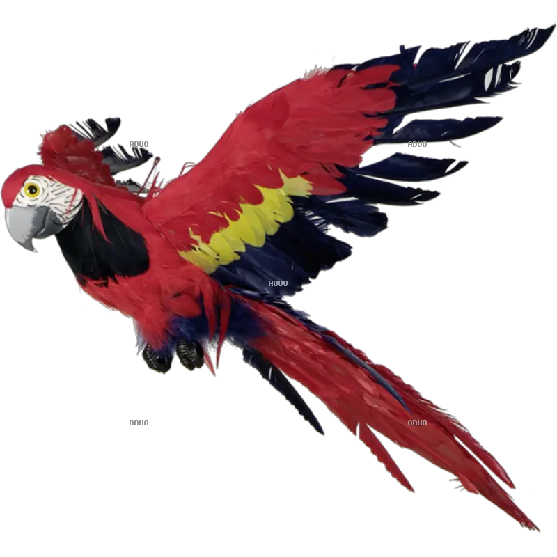 Flying Red Macaw Parrot