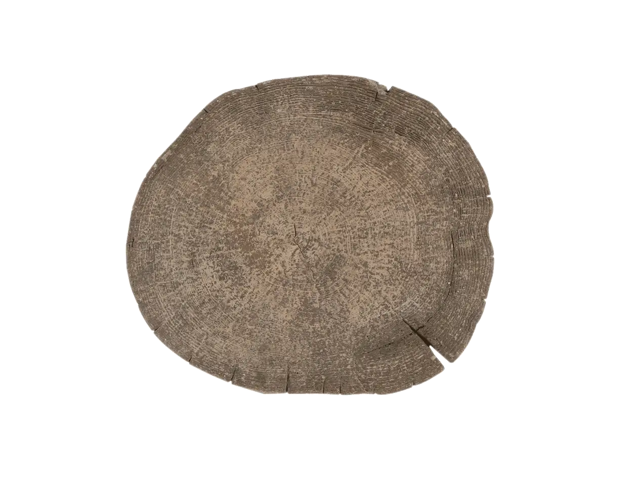 Large Brown Rock