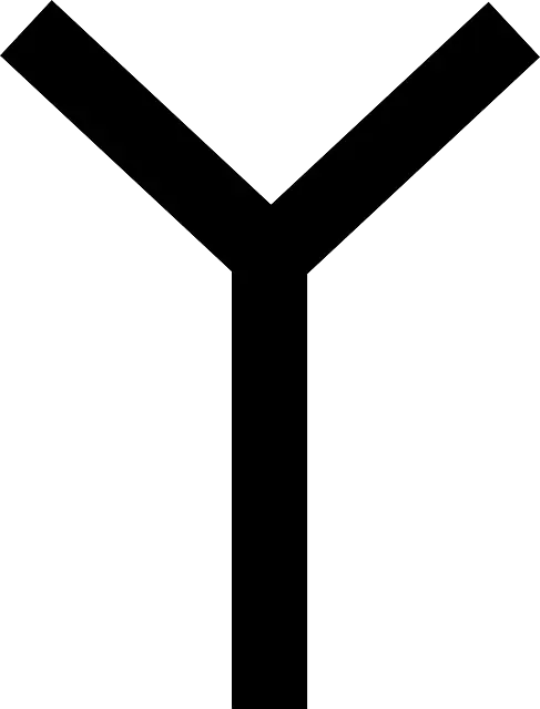 Bold Black Y-Shaped Symbol Design