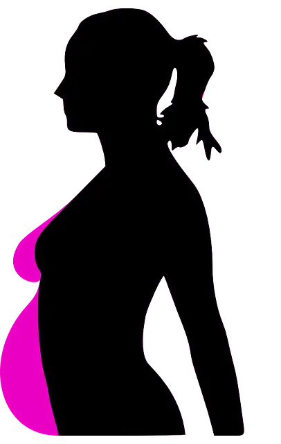 Silhouette of Pregnant Woman