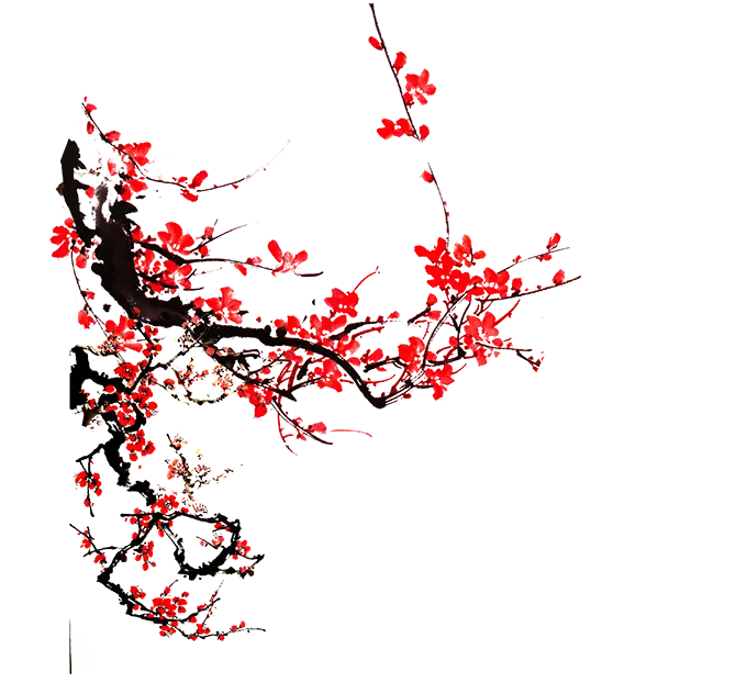 Red Cherry Blossoms on a Branch