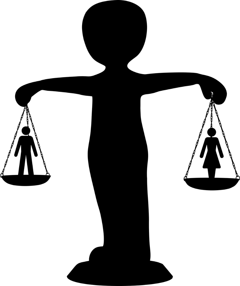Gender Inequality Scale Silhouette