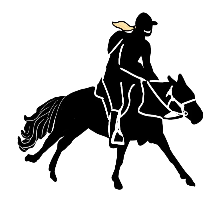 Horse Rider Black Silhouette Illustration
