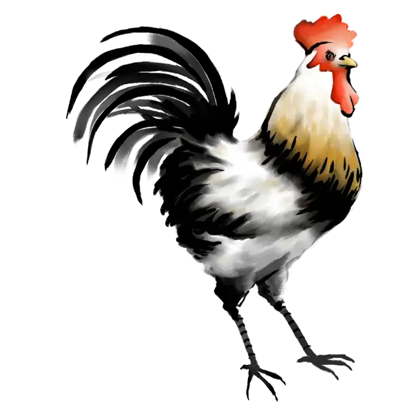 Black and White Rooster Illustration