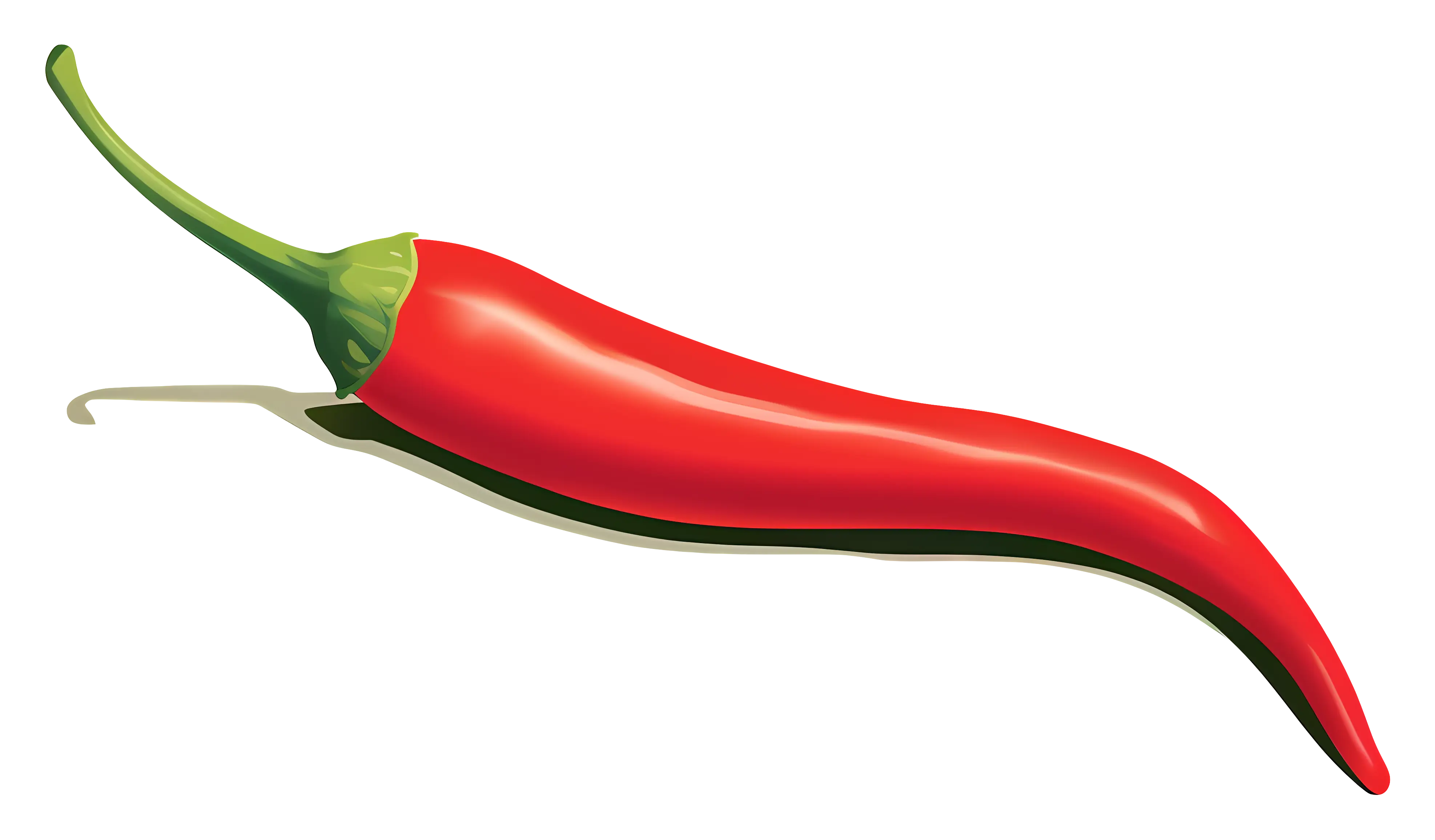 Red Chili Pepper Illustration