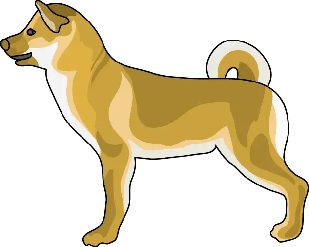 Illustration of a Standing Dog