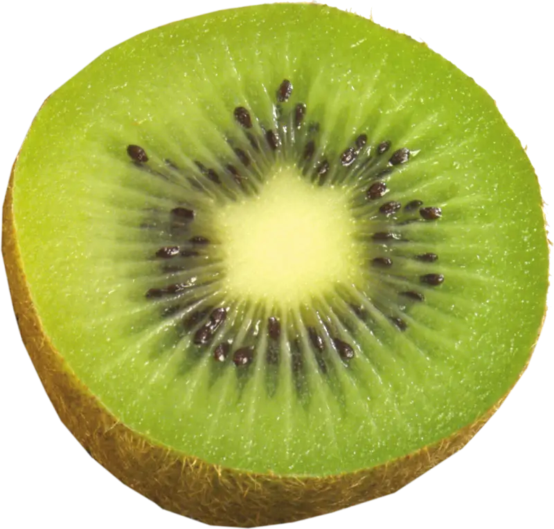 Bright Green Kiwi Slice