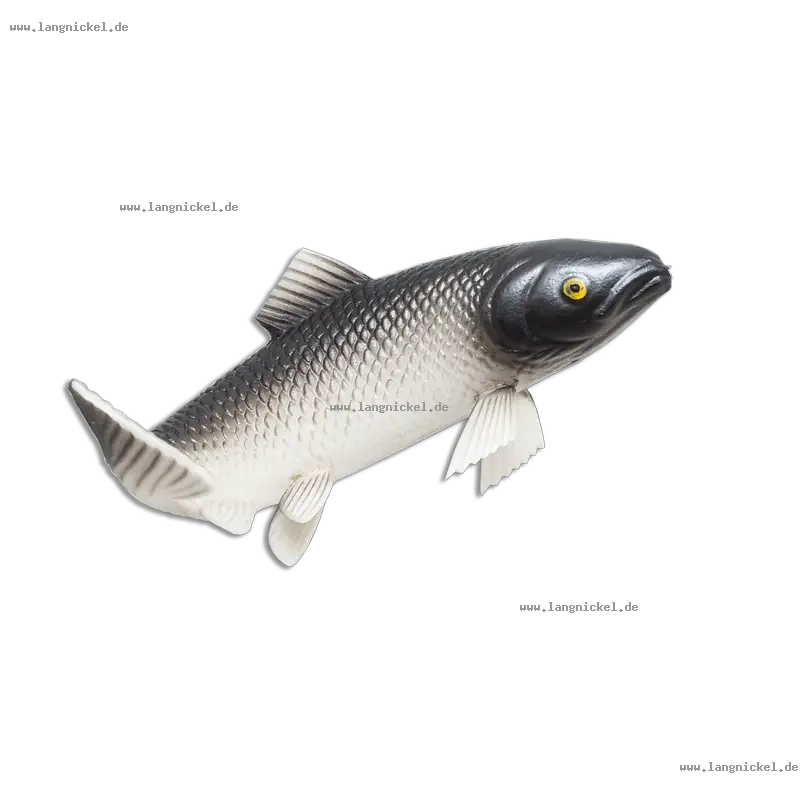 Realistic Fish Toy
