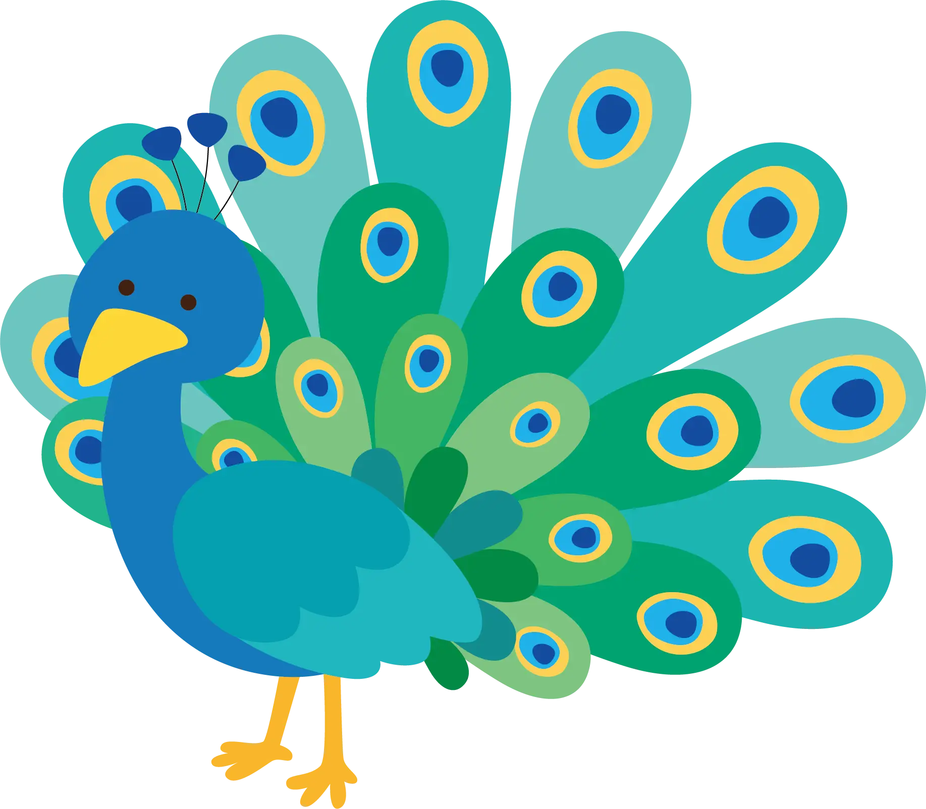 Colorful Peacock with Beautiful Feathers