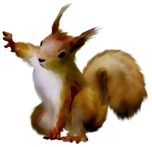 Cartoon Squirrel Illustration