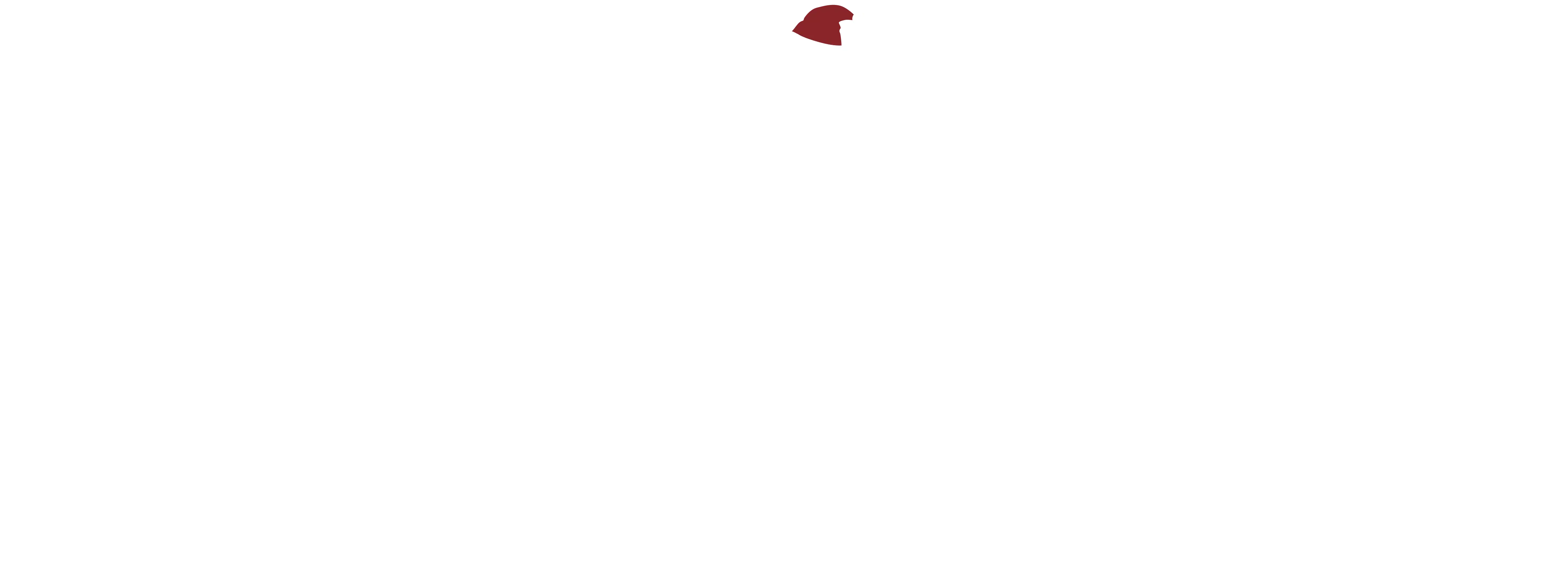 Santa Hat
