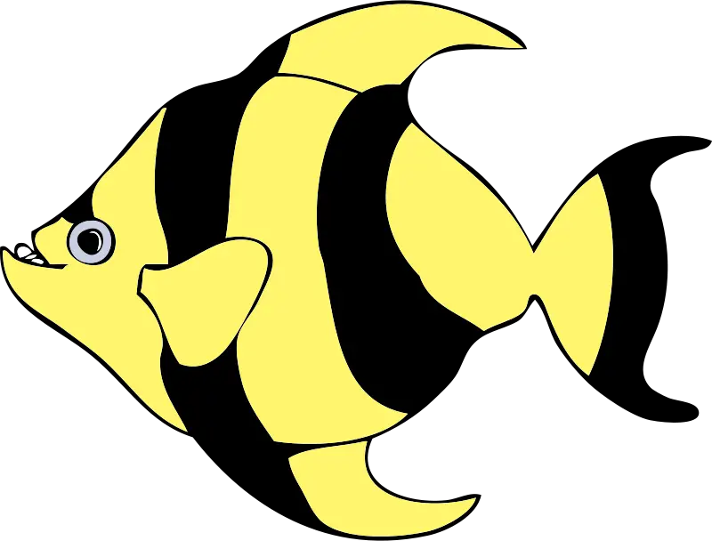 Yellow and Black Striped Fish