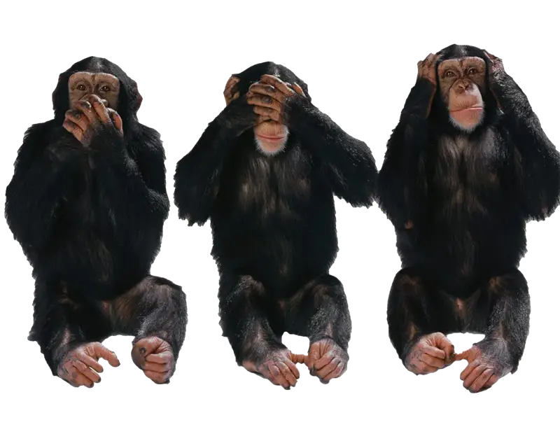 Symbolic Three Wise Monkeys Representation