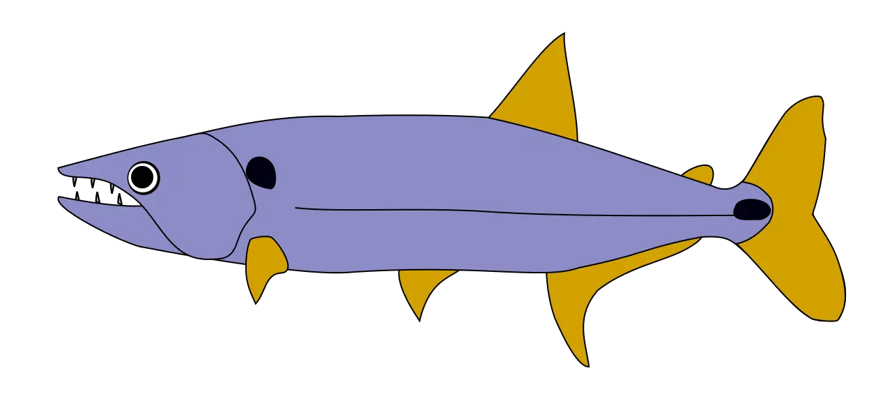 Cartoon Fish with Sharp Teeth