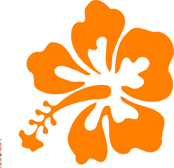 Orange Hibiscus Flower