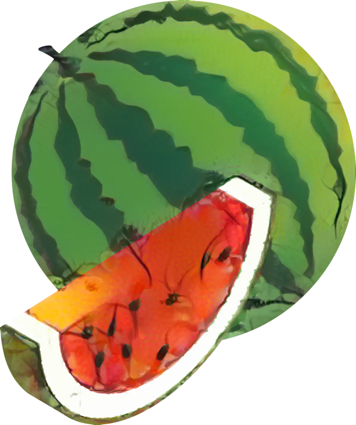 Watermelon Slice and Whole Illustration