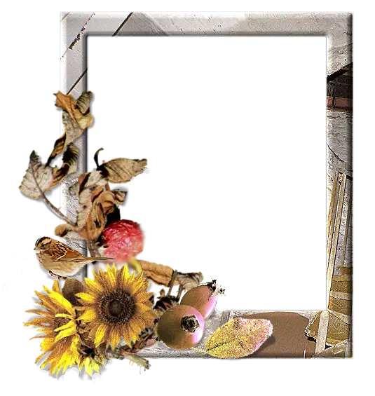 Decorative Frame with Floral Design