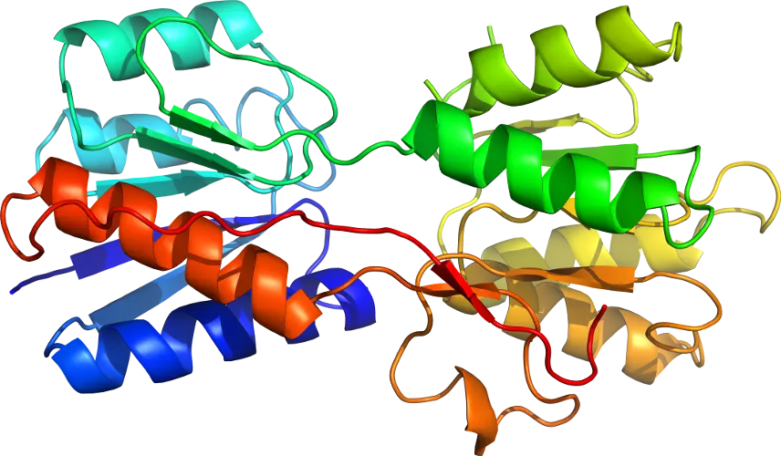 Colorful Protein Structure Representation