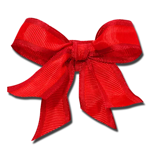 Red Decorative Bow for Gift Wrapping