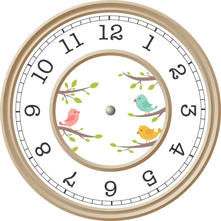 Decorative Clock with Bird Illustrations