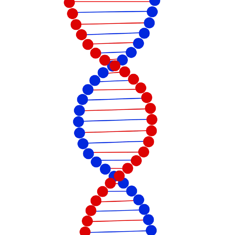 Colorful DNA Double Helix Illustration
