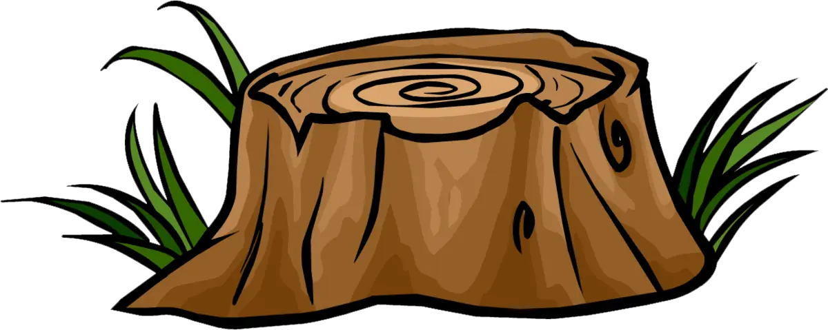 Tree Stump in Nature